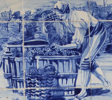 Cava, der Champagner Kataloniens Cava, der Champagner Kataloniens